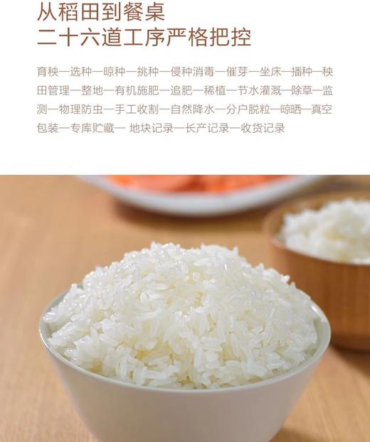 正宗稻花香2号 五常大米（从磨米到收货不超15天） 商品图11
