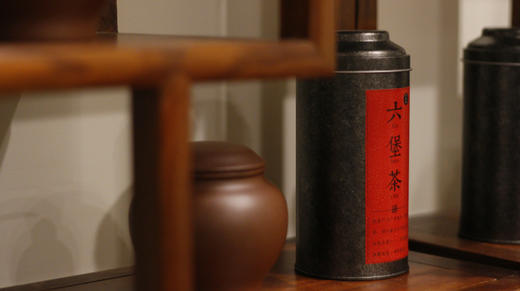 第3集：马来仓与大陆仓两种六堡茶的区别 商品图0