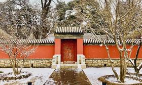 谁是继承人 —— 10. 从《红楼梦》中吸取的创作自由