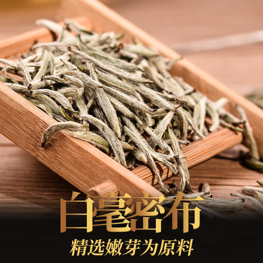 传奇会福鼎白茶 I 白毫银针清甜爽口老白茶高档礼盒装300g 正宗太姥山特级原料福建陈年高山老白茶 商品图2