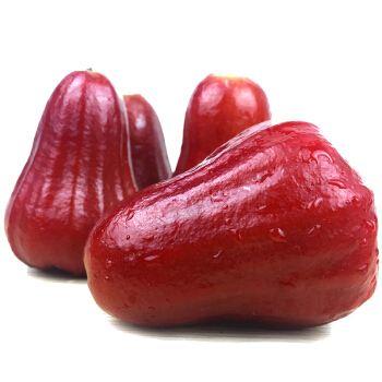 蜜风铃莲雾 大果 商品图1