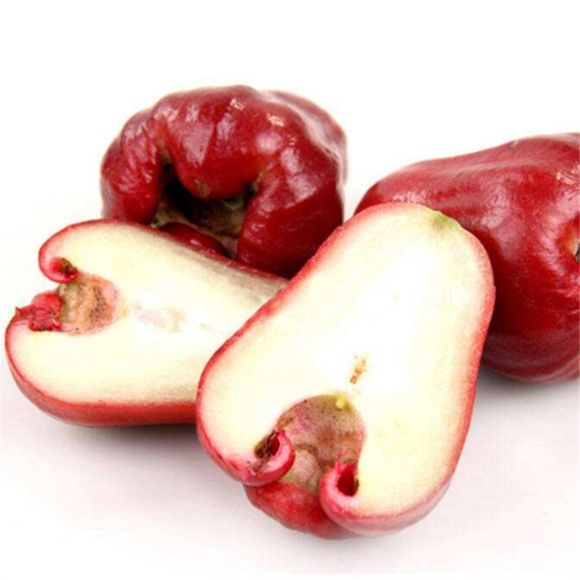 泰国黑金刚莲雾 大果