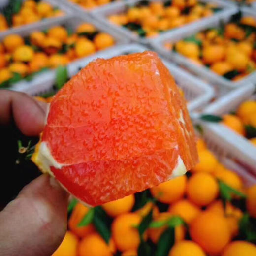 秭归红橙中华红橙 4.5/8斤装 商品图2