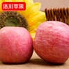 【顶端果业20枚80】陕西洛川红富士苹果水果20枚80mm中果 商品缩略图6