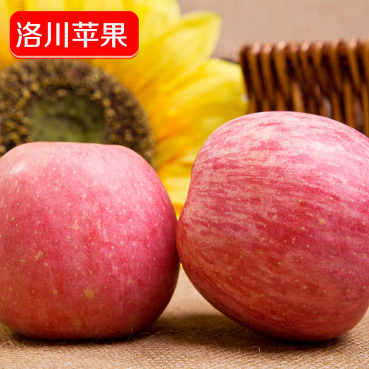 【顶端果业20枚80】陕西洛川红富士苹果水果20枚80mm中果 商品图6
