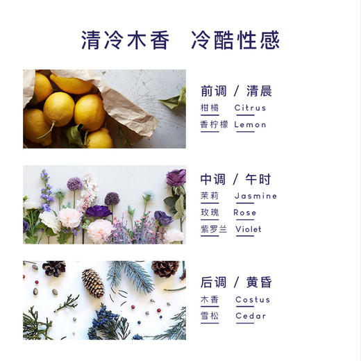 【跟扁塌油头说再见】PWU朴物大美洗发水雪松香500ml*2 SC 商品图1