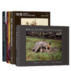 史蒂夫·麦凯瑞 摄影作品集4册套装 阅读东南偏南看东方印度 大师作品艺术写真摄影集画册书籍 商品缩略图0