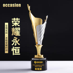 【新款】金属水晶奖杯定做创意刻字跆拳道武术体育比赛冠军奖品