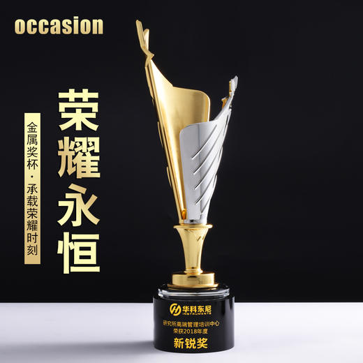 【新款】金属水晶奖杯定做创意刻字跆拳道武术体育比赛冠军奖品 商品图0