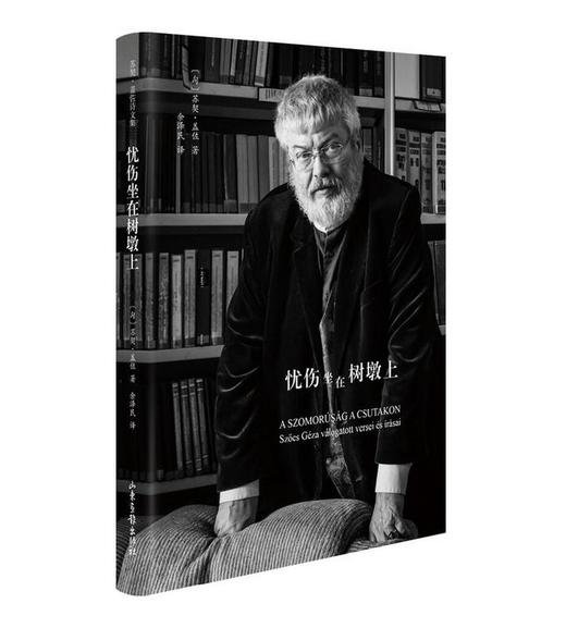 《忧伤坐在树墩上》：匈牙利著名诗人苏契·盖佐的诗文集 商品图0