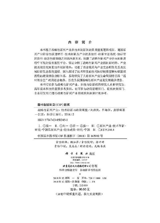 战略性新兴产业：技术创新与政策调整 商品图2