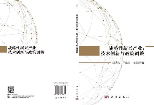 战略性新兴产业：技术创新与政策调整 商品图3