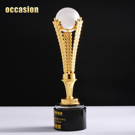 奖杯定制创意金属奖杯学校篮足球比赛水晶奖杯奖品纪念品定做 商品图3