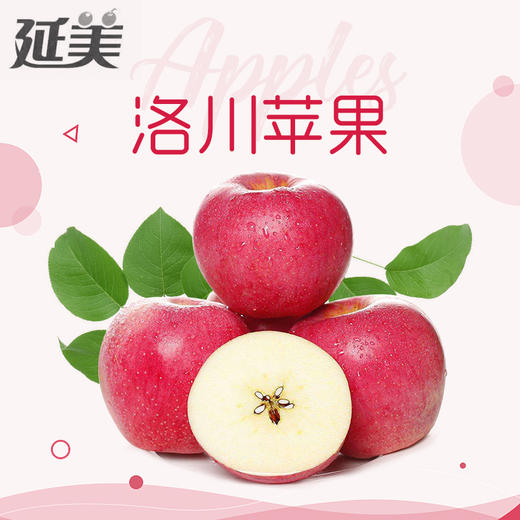 洛川红富士苹果 商品图1