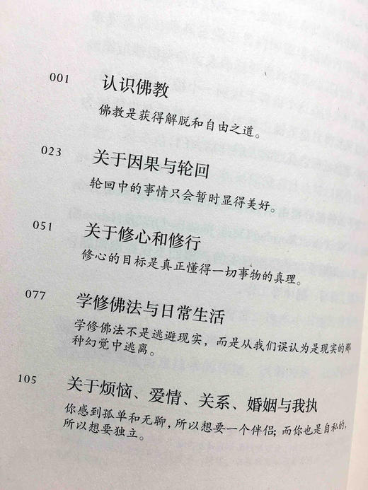 八万四千问 宗萨蒋扬钦哲仁波切 佛学入门初学者藏传佛教正版书籍 8万4千问哲学宗萨仁波切的书 商品图7