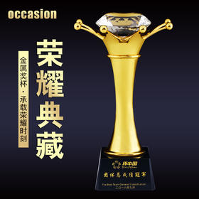 金属奖杯定制定做大号冠军水晶奖杯高档优秀员工奖杯颁奖奖品制作