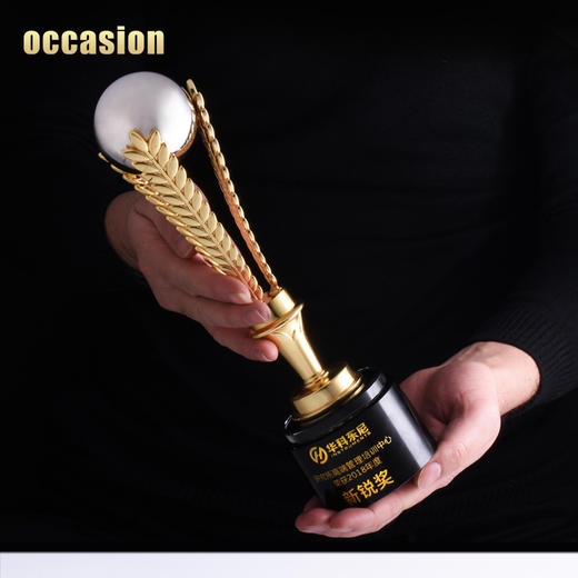 奖杯定制创意金属奖杯学校篮足球比赛水晶奖杯奖品纪念品定做 商品图4