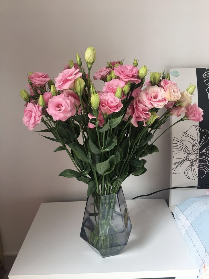 现货粉色洋桔梗一扎若干支