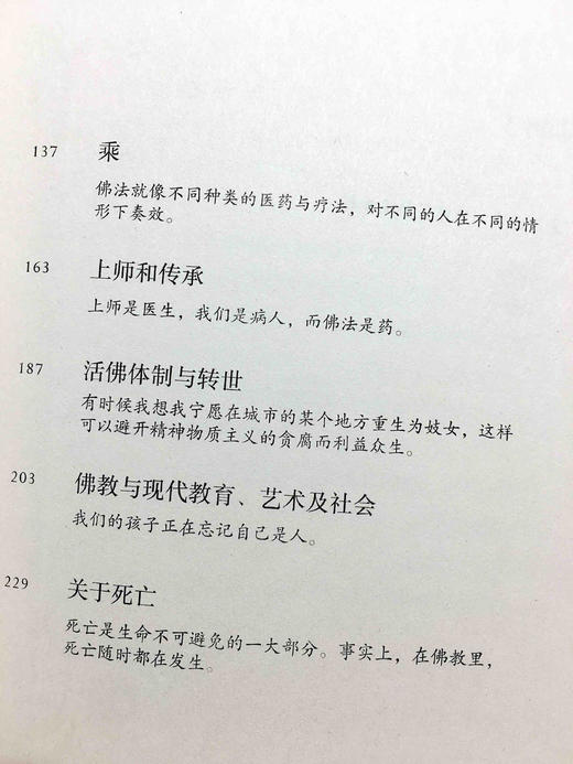 八万四千问 宗萨蒋扬钦哲仁波切 佛学入门初学者藏传佛教正版书籍 8万4千问哲学宗萨仁波切的书 商品图8