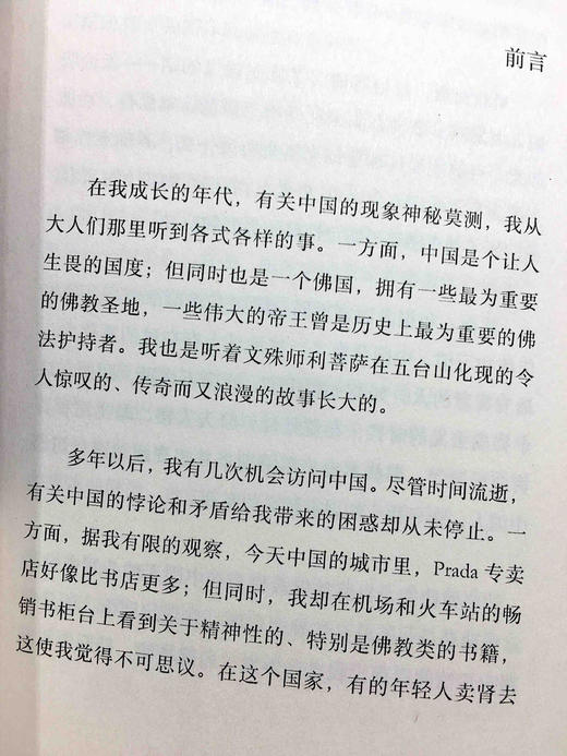 八万四千问 宗萨蒋扬钦哲仁波切 佛学入门初学者藏传佛教正版书籍 8万4千问哲学宗萨仁波切的书 商品图6