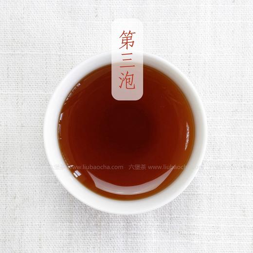 三鹤六堡茶 2015年 槟榔香106 （2019年包装出厂，200g） 商品图4