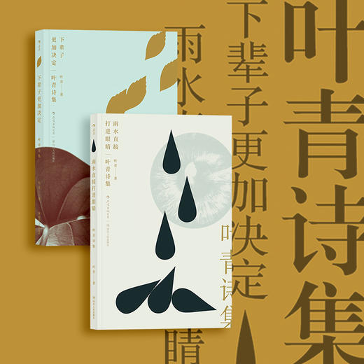 【套装】叶青诗集 下辈子更加决定+雨水直接打进眼睛 台湾现代诗歌集 文学书籍 现代诗集 书 商品图3