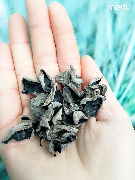 【精选】野生椴木耳 商品图1