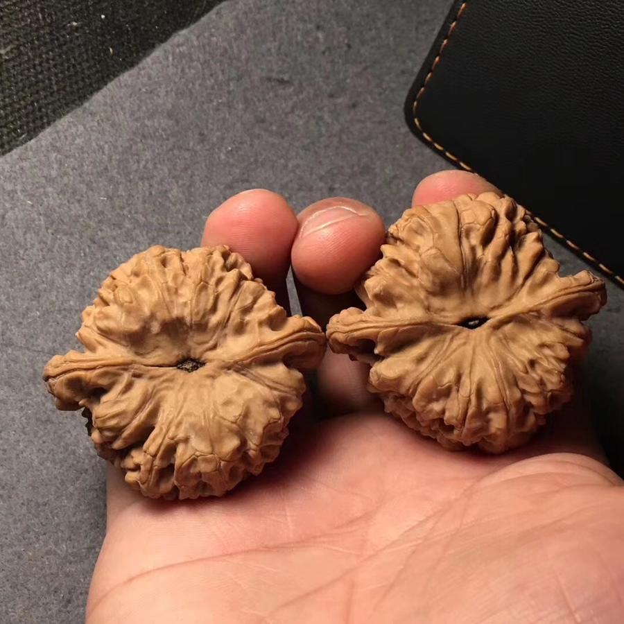 官帽矮桩核桃