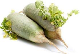 【百汇到家】沙窝萝卜（3斤起售）