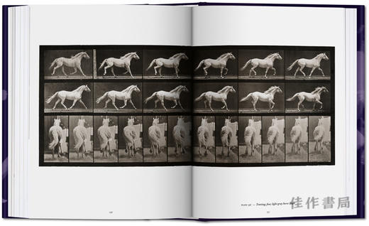 Eadweard Muybridge.The Human and Animal Locomotion Photographs/埃德沃德·迈布里奇:动物与人类运动摄影/英文原版摄影画册/世界图书馆系列 商品图4