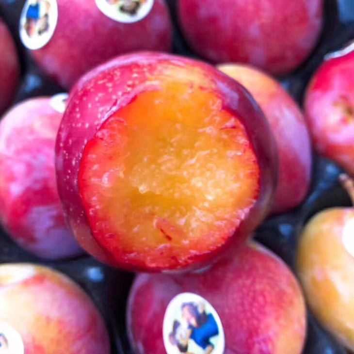 智利恐龙蛋脆甜可口珠宝李130140g左右颗中心甜度达到17