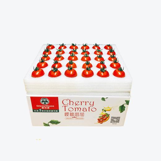 【全国包邮】春沐源樱桃番茄安第斯红小番茄小时候的味道 商品图0