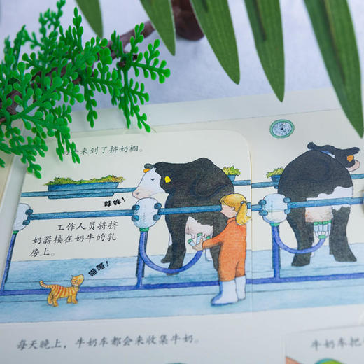 尤斯伯恩看里面（低幼版）·揭秘农场 英国Usborne出版社王牌科普 Look Inside揭秘系列图书 风靡全球的科普翻翻书 被翻译成26种语言 商品图4