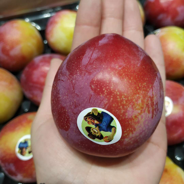 智利恐龙蛋脆甜可口珠宝李130140g左右颗中心甜度达到17