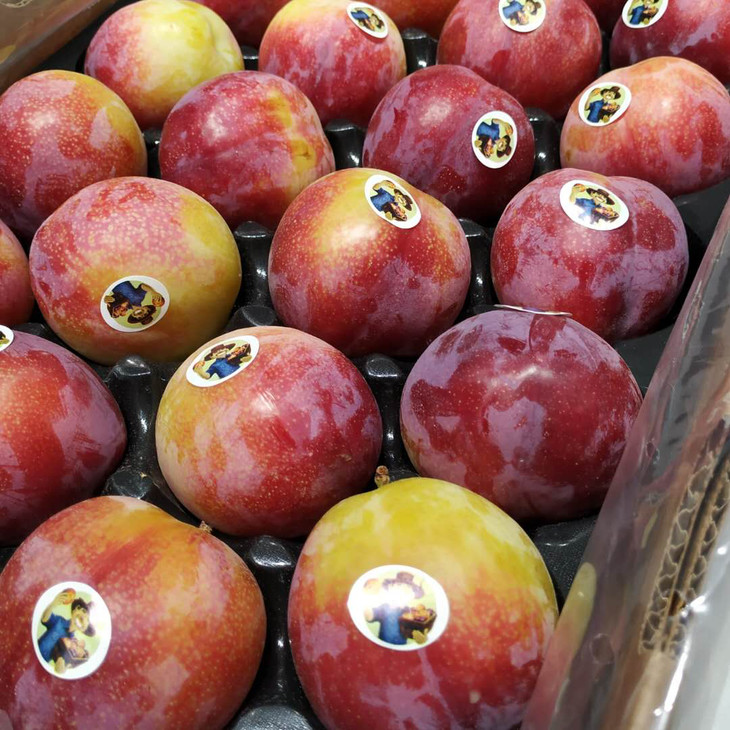 智利恐龙蛋脆甜可口珠宝李130140g左右颗中心甜度达到17