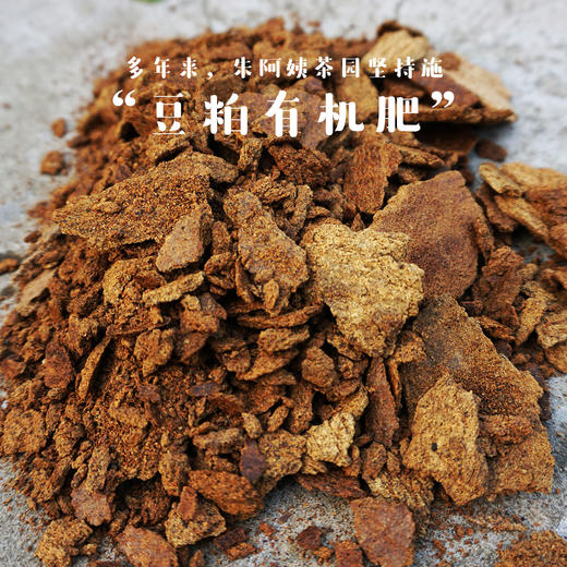 |预售| 梅家坞2026朱阿姨家明前西湖龙井汉周龙井核心产区 仅30斤 商品图10