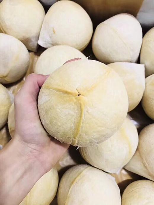 泰国椰皇10只  香甜浓郁 纯天然的饮料【市区包邮】 商品图3