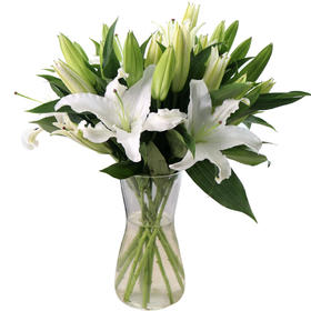 百合·西伯利亚