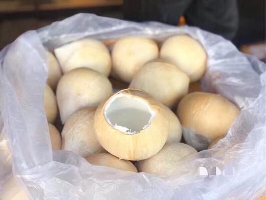泰国椰皇10只  香甜浓郁 纯天然的饮料【市区包邮】 商品图2