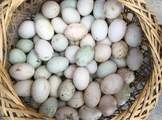 草鸭蛋 10枚装