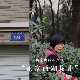 |预售| 梅家坞2026朱阿姨家明前西湖龙井汉周龙井核心产区 仅30斤