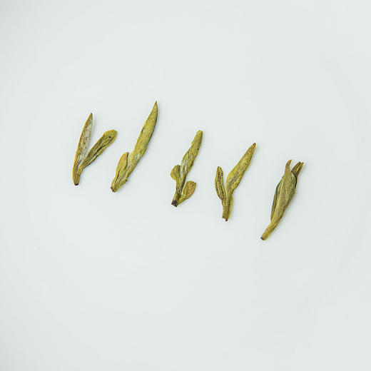 |预售| 梅家坞2026朱阿姨家明前西湖龙井汉周龙井核心产区 仅30斤 商品图7