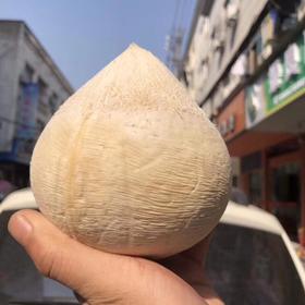 泰国椰皇10只  香甜浓郁 纯天然的饮料【市区包邮】