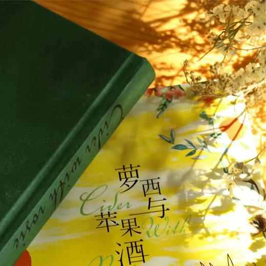 《萝西与苹果酒》 洛瑞李著 入选每日邮报评选的100部B读文学作品卫报死前B读的1000本小说等书单英国文学经典儿童田园诗 商品图3