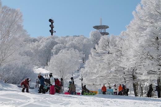 【定金】铂金粉雪假期！日本长野志贺高原滑雪之旅五天四晚3月15日出发 商品图8
