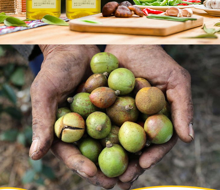 江西赣州野生山茶油纯油茶籽农家手工物理压榨新鲜营养500ml瓶包邮