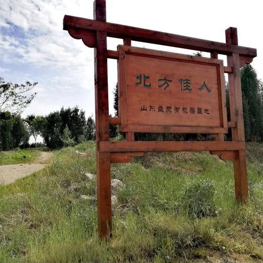 【茶馆茶叶】【北方佳人】蜜香红茶| 小绿叶蝉吸食原料，蜜香浓郁融入茶汤 红艳明亮 商品图6