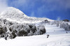 圣诞班日本长野志贺高原6日5晚滑雪之旅12月21日出发 商品缩略图5