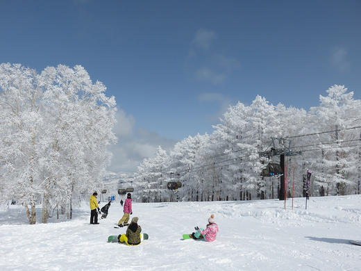 圣诞班日本长野志贺高原6日5晚滑雪之旅12月21日出发 商品图2
