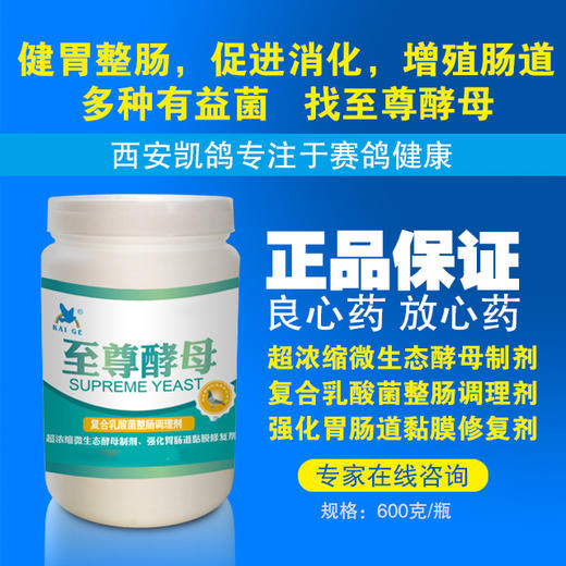 【至尊酵母600g】健胃整肠，促进消化（凯鸽） 商品图0